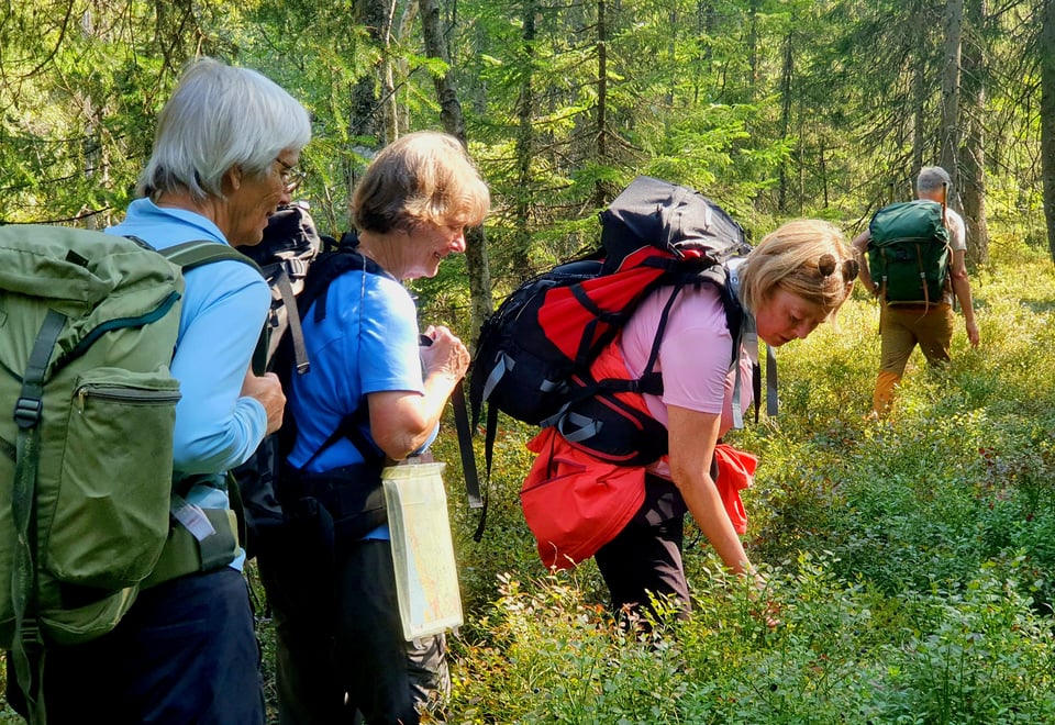 Gruppe på skogstur
