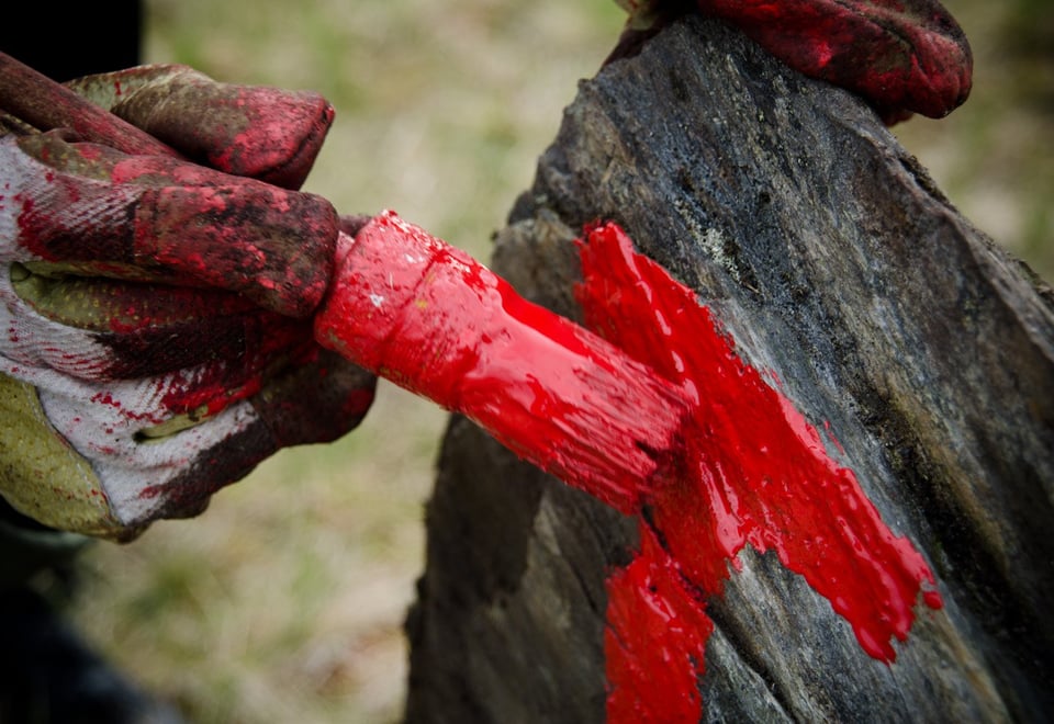 Pensel som maler en rød t