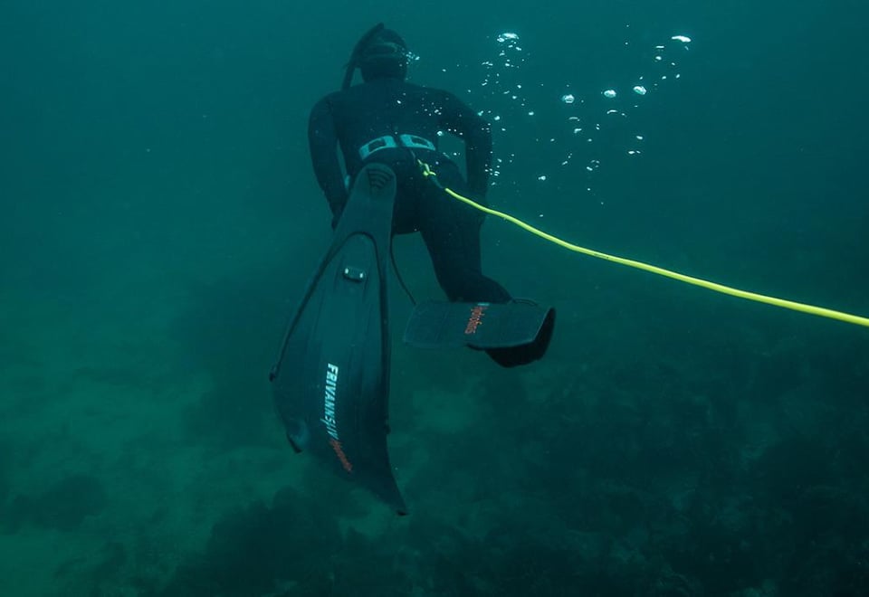 En person i dykkedrakt 