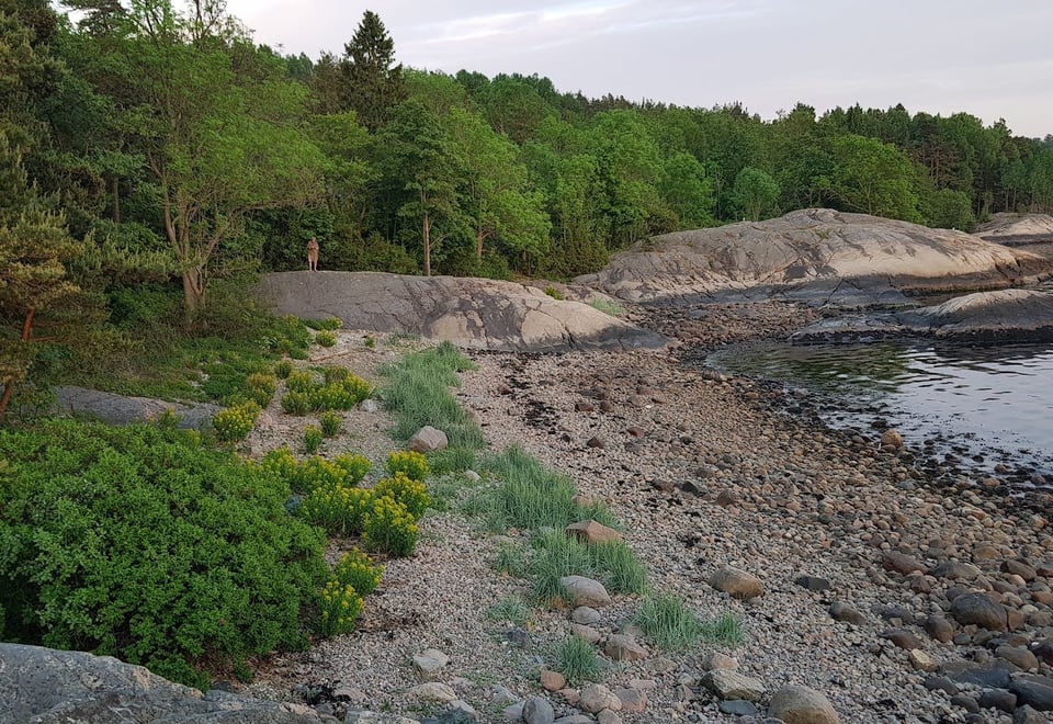 Kystlandskap i Vestby
