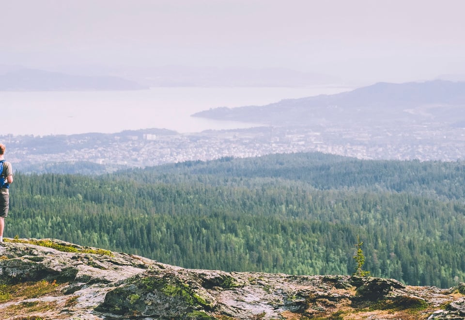 En utsikt over et skoglandskap, som strekker seg helt mot en fjord i bakgrunnen. I forgrunnen står en mann på en liten åstopp, og ser utover, med sekk på ryggen.