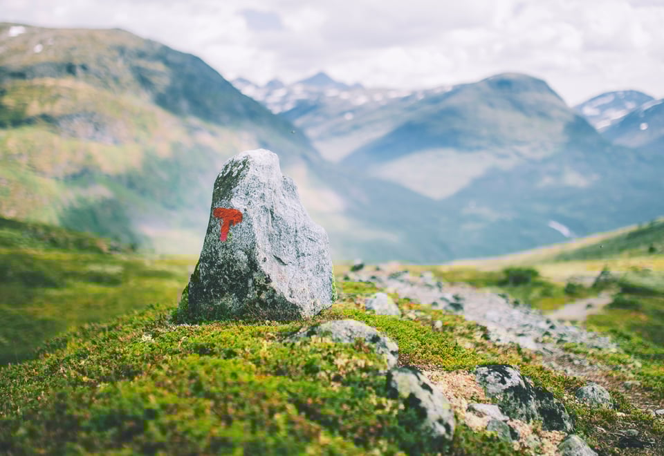 Andre uken av minutt for minutt gikk fem dager gjennom Jotunheimen. Bildet er fra turen fra Fannaråkhytta og ned til frodige Skogadalsbøen.