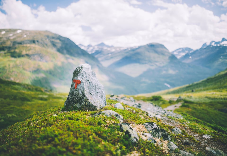 Andre uken av minutt for minutt gikk fem dager gjennom Jotunheimen. Bildet er fra turen fra Fannaråkhytta og ned til frodige Skogadalsbøen.