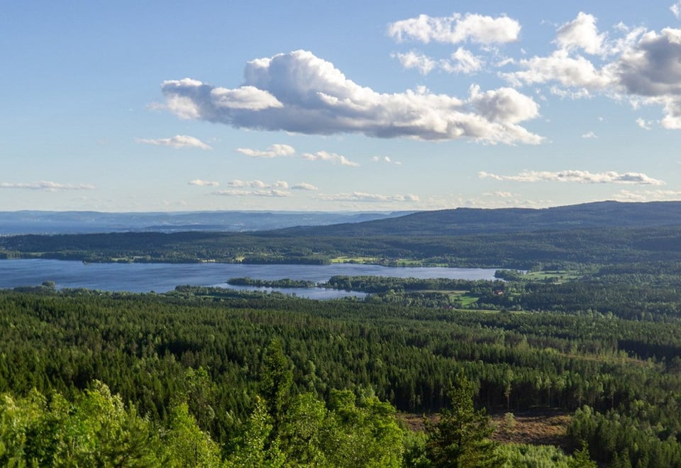 OSLO 20180619
DNT tur til Barlindåsen.
Foto: Arash A, Nejad
Til Topps-turer i Oslo våren 2018, der flyktninger, andre innvandrere og frivillige i DNT møttes og gikk på tur. Her fra tur til Barlindåsen.