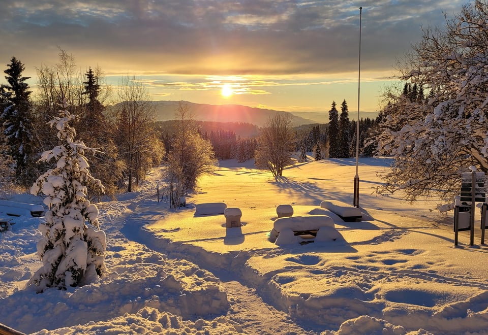 Landskap dekket med tykt lag nysnø, både benker og skilt nesten helt gjemt under det. Trær rundt den åpne flaten. En lav sol henger rett over horisonten.