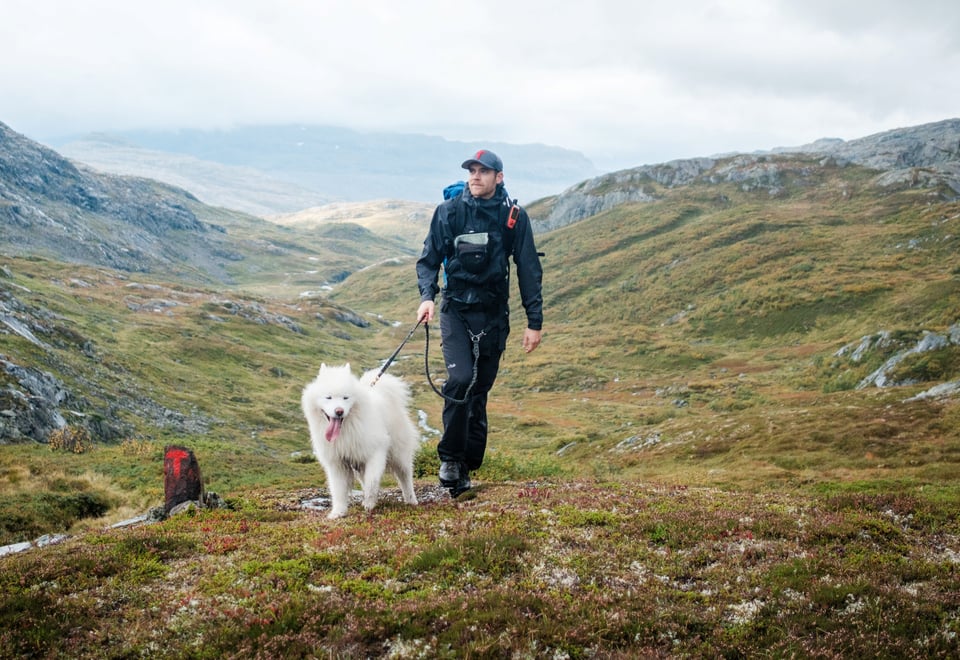 John Petter Nordbø og Baijas på stien mellom Bleskestadmoen og Jonstølen i Suldal. Hund på tur.
