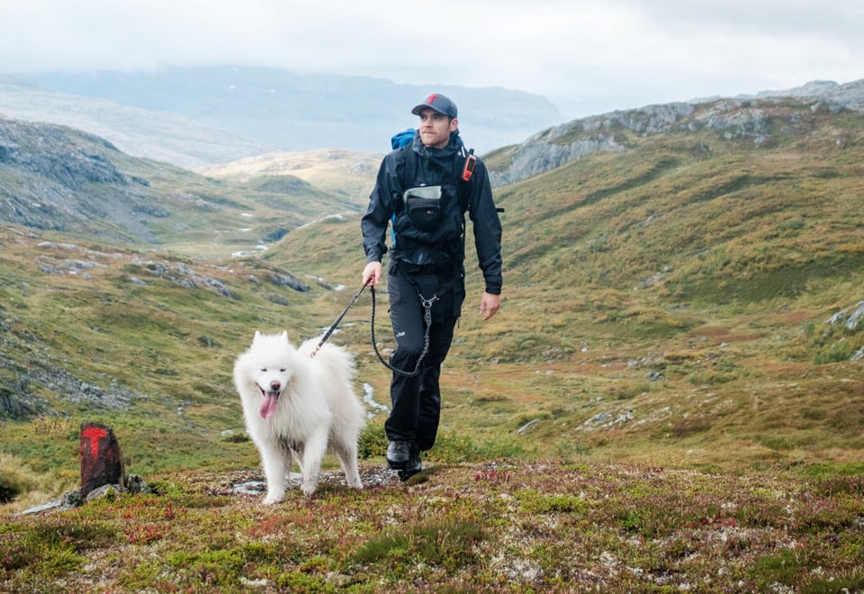 John Petter Nordbø og Baijas på stien mellom Bleskestadmoen og Jonstølen i Suldal. Hund på tur.