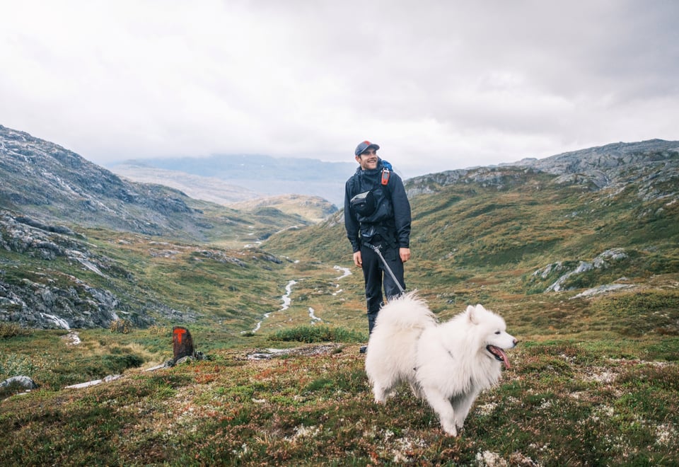 John Petter Nordbø og Baijas på stien mellom Bleskestadmoen og Jonstølen i Suldal. Hund på tur.