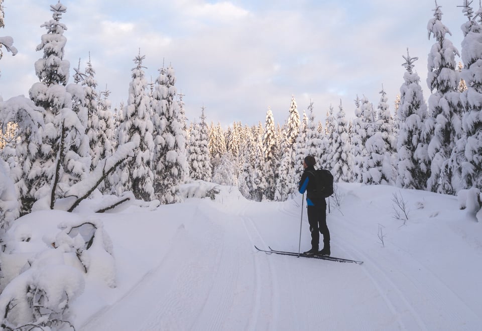 Skitur fra Snippen til Nydalshytta/Nydalsbua/Røverhula/Fjellvang