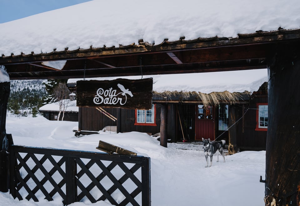 Bilder fra "Pudderfest" på Sota Sæter, Breheimen.