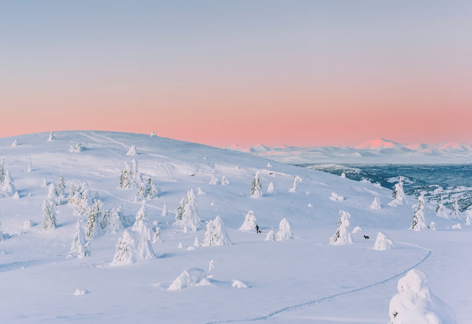 Vakkert vinterlandskap med rosa himmel