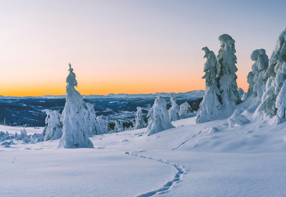 Solnedgang i vakkert vinterlandskap med snøkledde trær.