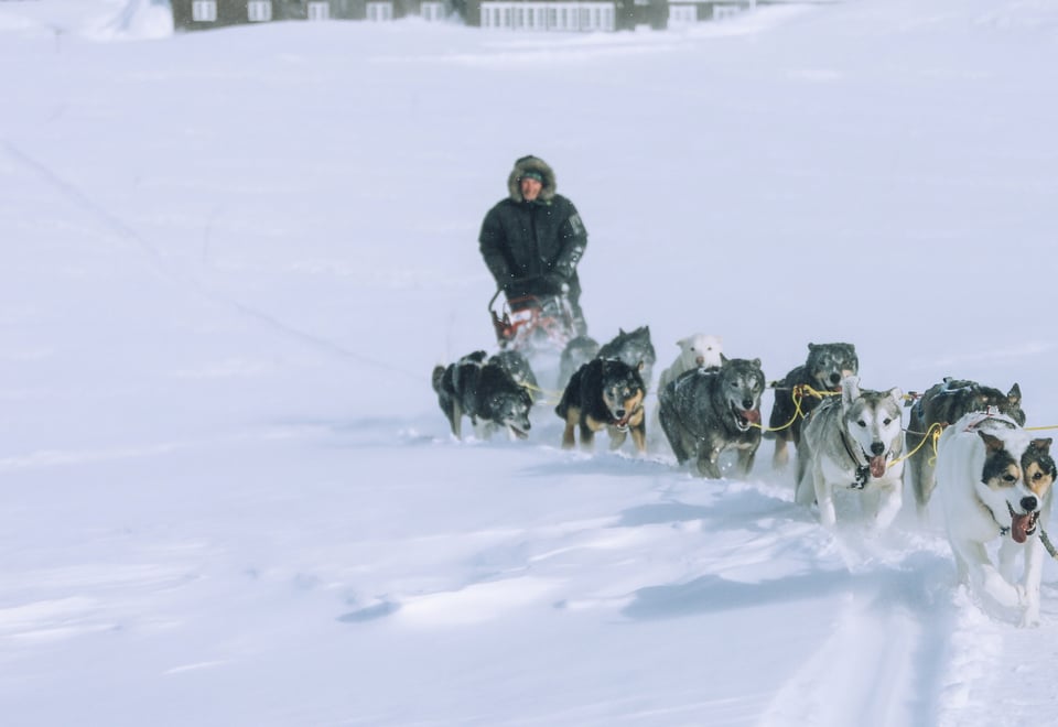 A person dressed in winter gear drives a team of sled dogs through a snowy landscape, the dogs running energetically in the deep snow under clear, cold conditions.