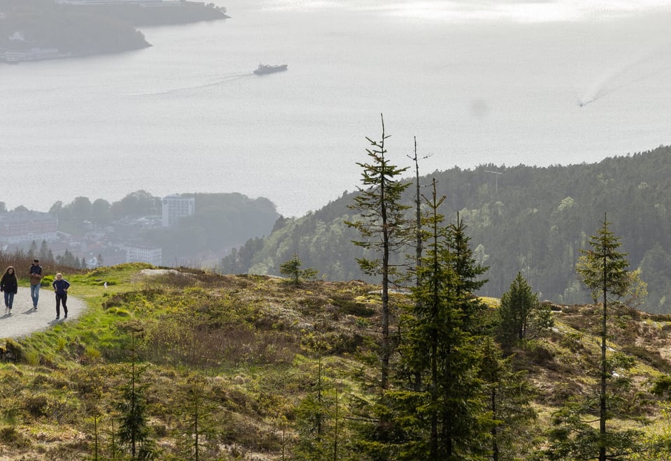 Oversiktsbilde over Byfjorden i Bergen og noen folk som går på tur opp grusvei.