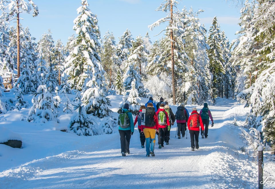 Turgruppa UT på tur Eiker til Hoensvannet, Øvre Eiker