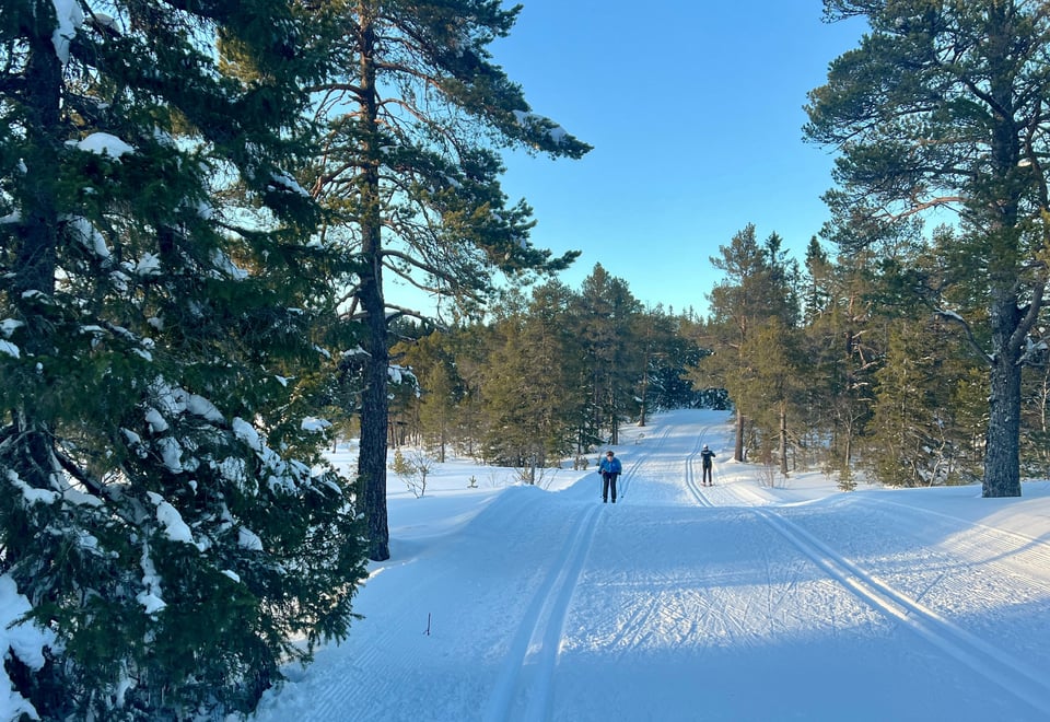 En bred vei gjennom snøen i skogen, med oppkjørte skispor både på venste og høyre side. To skigåere er synlige, en på vei mot oss og en fra oss.