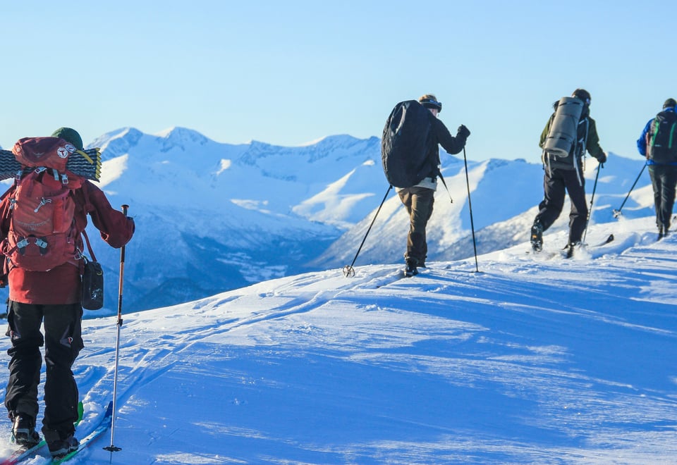 Nasjonal turledersamling Romsdalen DNTung 2018