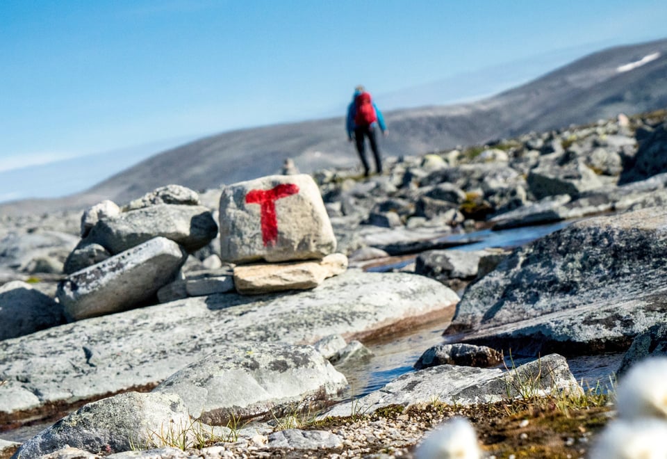 Bilder fra fjellferie 2019.
