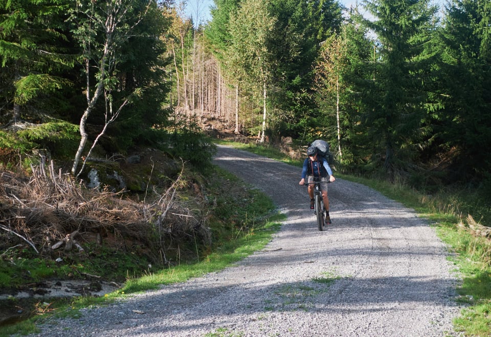 Fisketur med vennegjeng til Katnosdammen, Nordmarka.