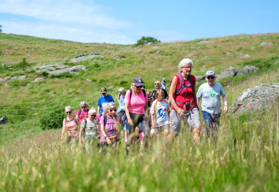 En stor gruppe mennesker i fargerike klær går tur i grønt landskap en fin sommerdag.