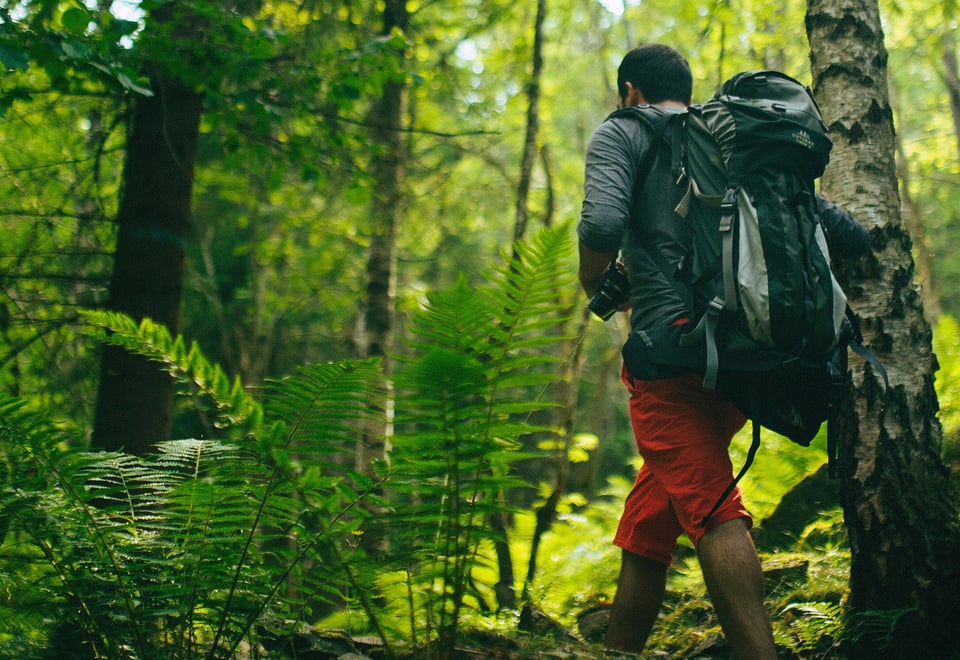 Tur til Kolsåstoppen 5. juli 2015. 