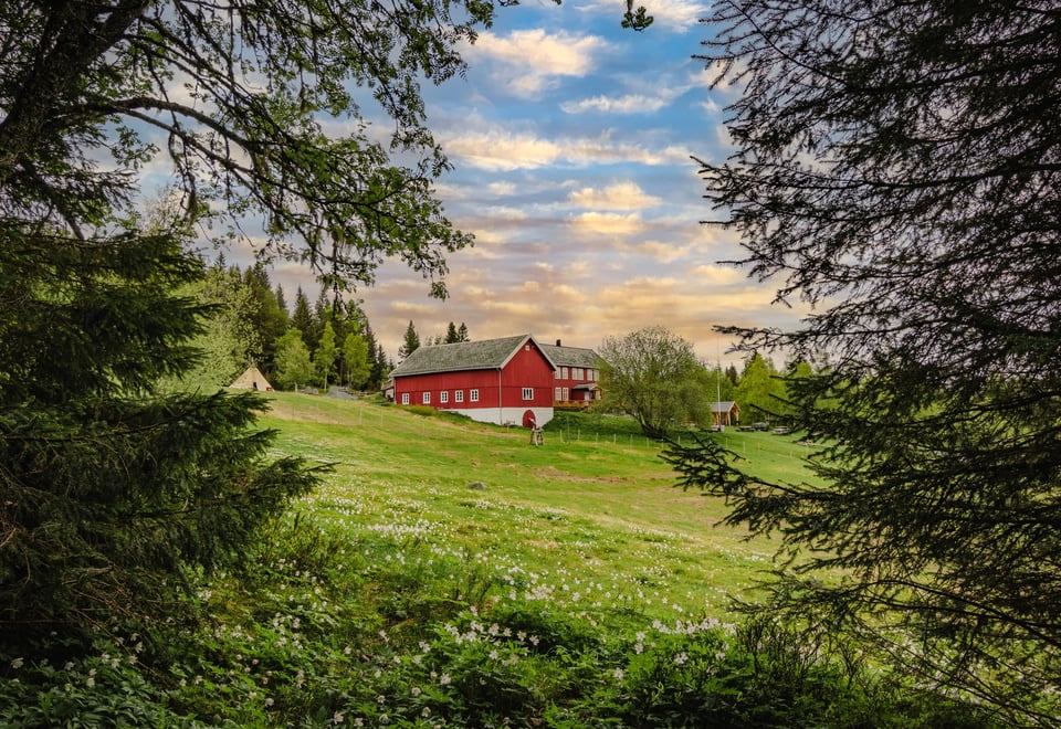 To bygninger, en rød stue og en rød låve, med hvite kanter, står i en gresskledd skråning midt på bildet. Hele motivet er innrammet av grener og nåler av grantrær. Det er en finværsdag på vår eller sommer. 