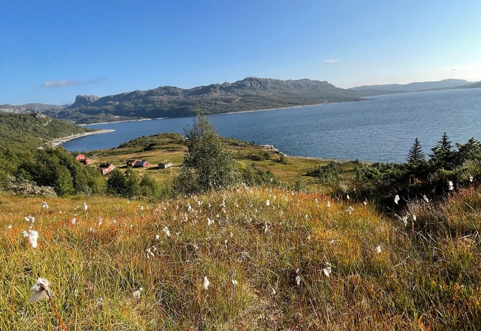 Tre røde hytter og en grå ligger ved et vann med fjell rundt. Foran på bildet er det myrull og trær.