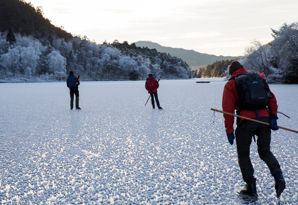 Skøyteløåere på isen i skogslandskap
