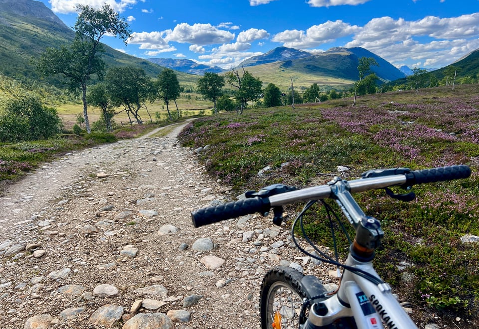 Styret og forhjulet på en sykkel, som det ser ut som fotografen sitter på, og en steinete fjellvei som går foran. Noen spredte trær langs venstre veikanten. Lyng og blomster på høyre side.