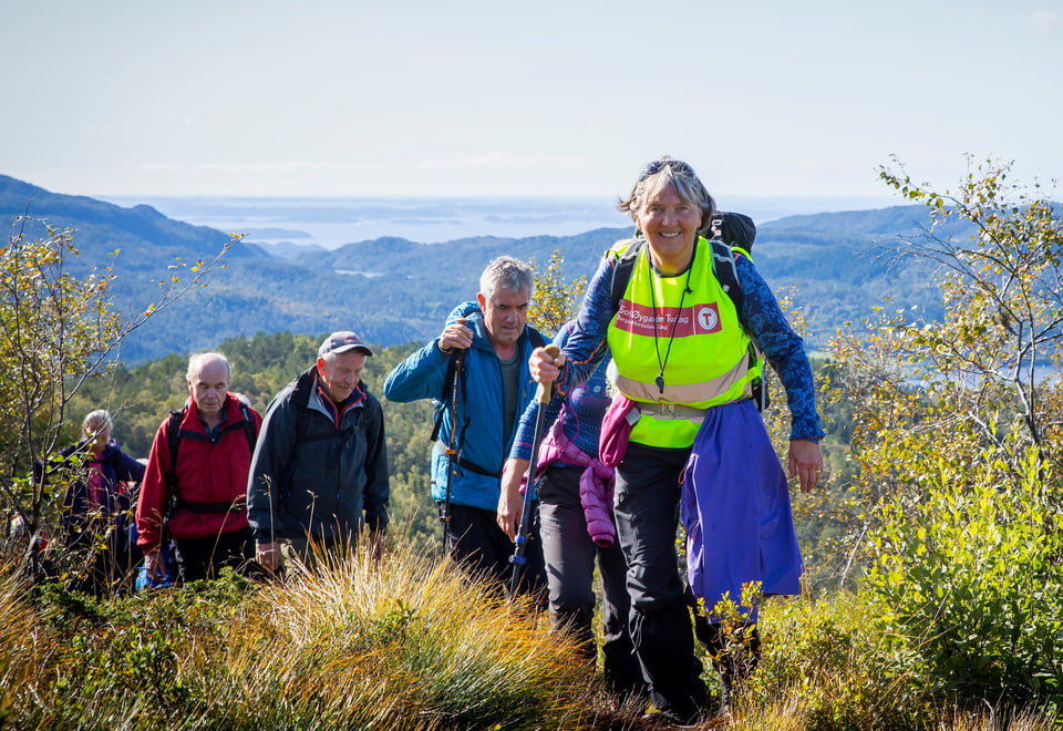 Turgruppe med turleder først. Høsttur med sol i fjellet. Foto