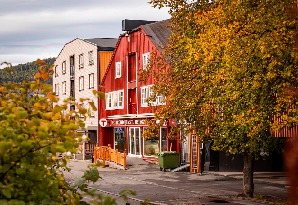 Fasadene på en rekke bygninger i en gate i Trondheim, med et par trær foran dem. Den røde bygningen i midten er Turisforeningens lokaler.