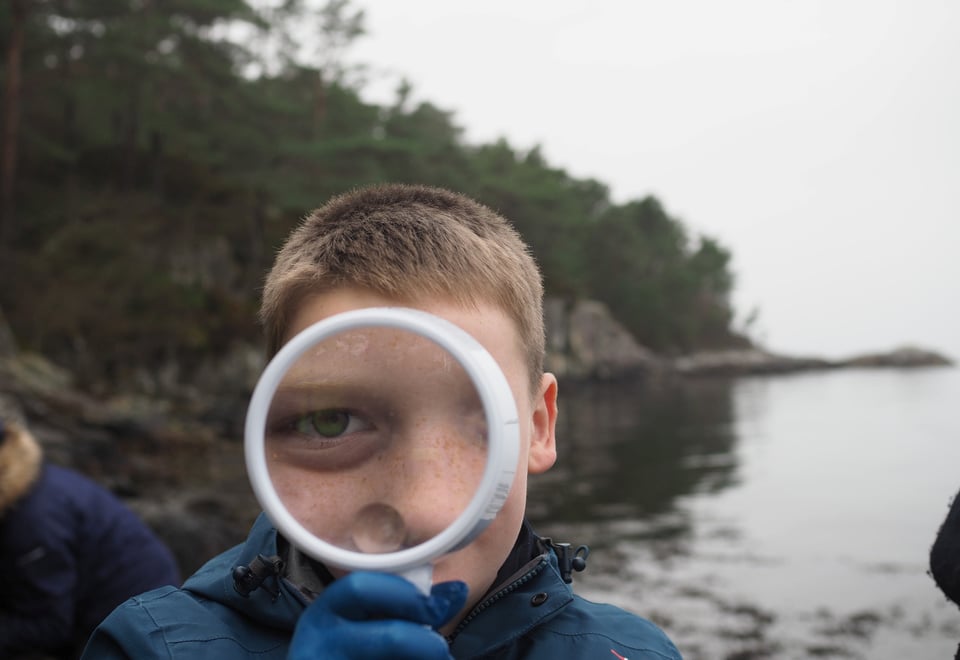 Barnas Turlag Tysnes på oppdagelsestur i fjæra