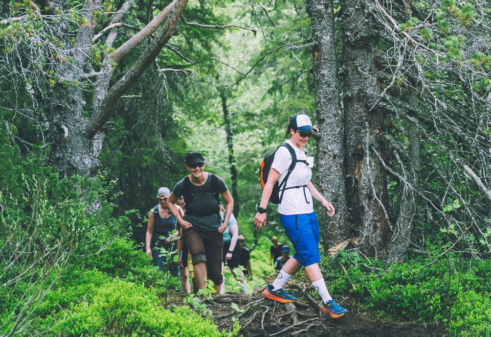 Topp 7 i Bymarka utenfor Trondheim. 