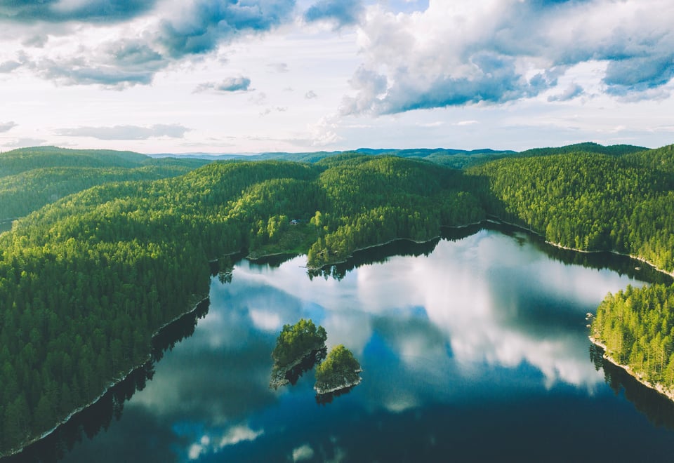 Skogsområde og skogsvann sett fra lufta.