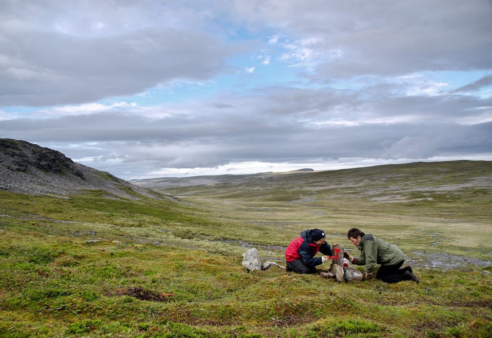 E1-dugnad i Finnmark sommeren 2012.