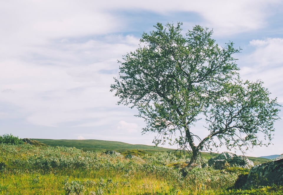 Siste uken av NRKs sommersending i 2018 gikk gjennom Indre Troms via både Sverige og Finland. Her fra første etappe mot Isdalen.
