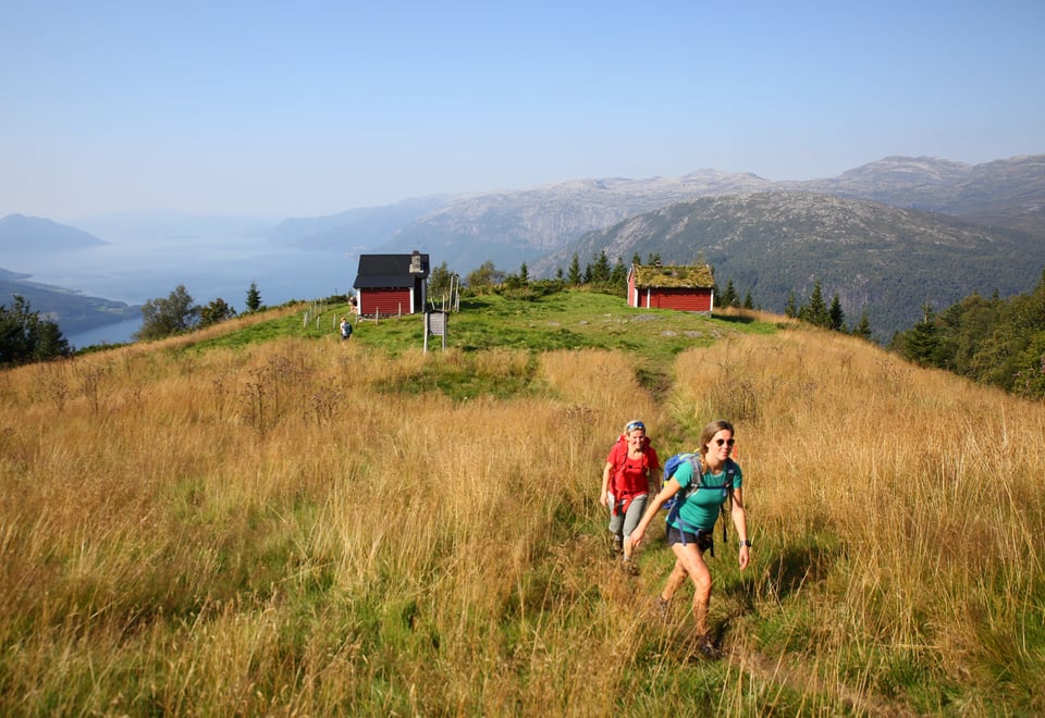 To personer går i høyt gress oppover en bakke.