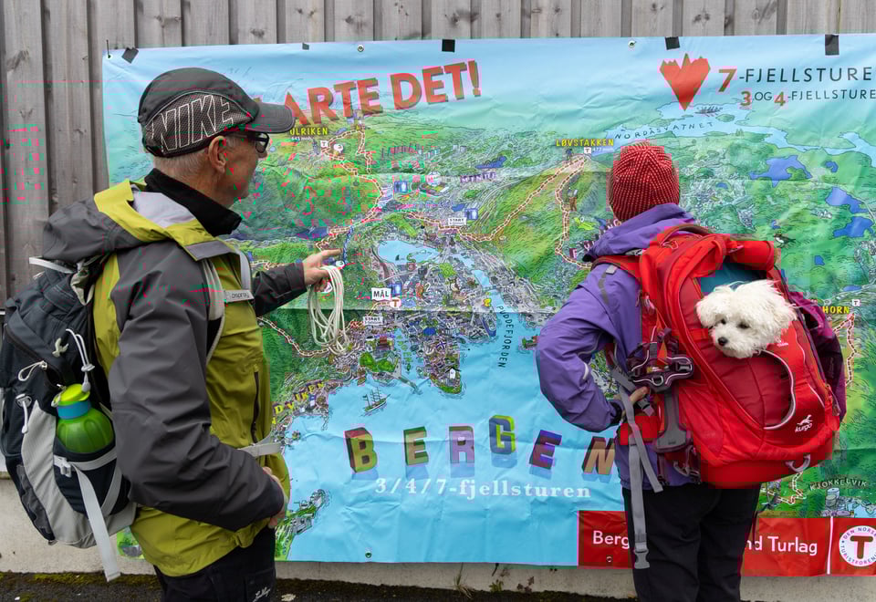 To personer ser på et kart som har tegnet inn hele 7-fjellsturens rute.