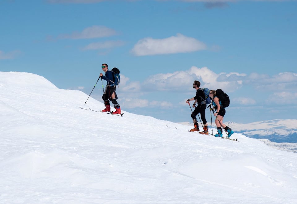 Gjeng på vei opp fjell med shorts og randoneeski.