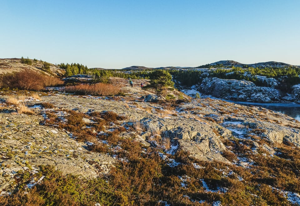 Et steinete landskap, med lyng og stritt gult gress i klumper. Nåltrær i bakgrunnen, med lave fjell bak der igjen. I midten, langt borte, er det tre personer som er ute og går, godt påkledd for kaldt vær.