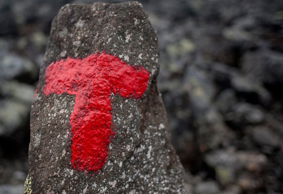 Rød T malt på en trestamme