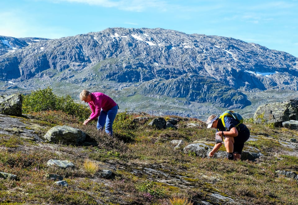 Fellestur til Jonstølen i Suldal for 60+