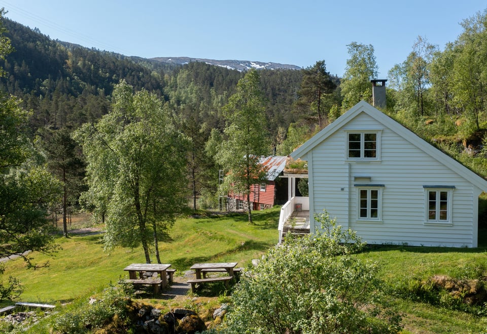 Træet gård, juni 2023.
