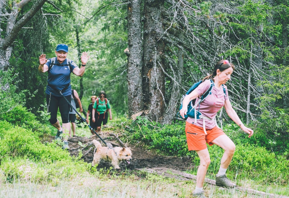 Topp 7 i Bymarka utenfor Trondheim. 