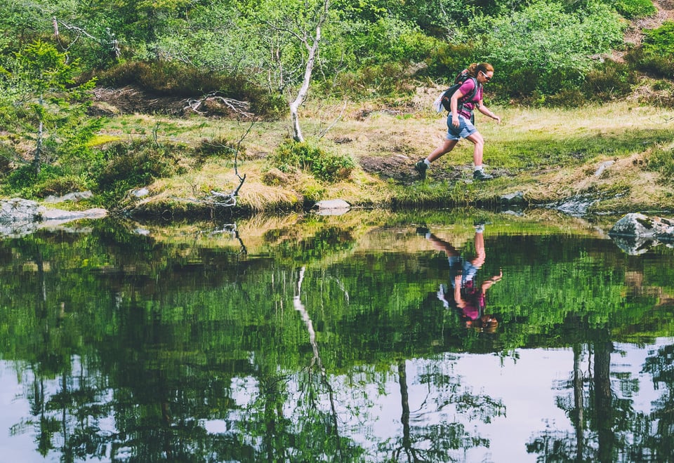 Bredden av en elv eller dam, med skog i bakgrunnen. En person jogger langs den åpne flaten mellom skog og vann.