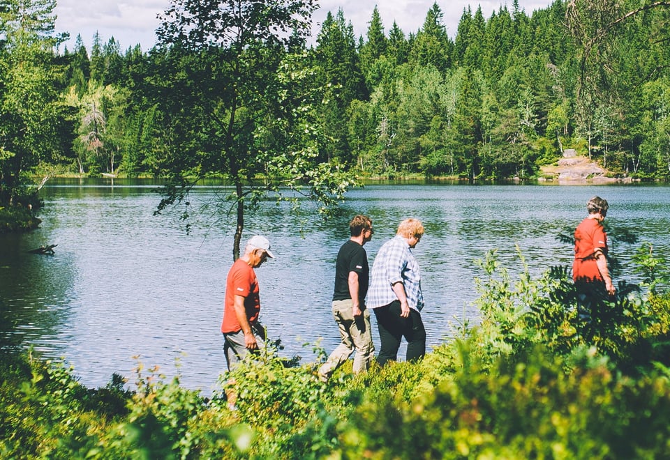 Fire turgåere i frodig terreng ved et tjern