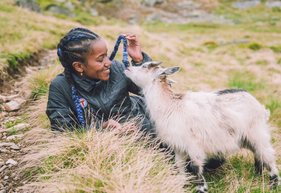 Skarvheimen mellom Geiterygghytta, Kongshelleren og Iungsdalshytta