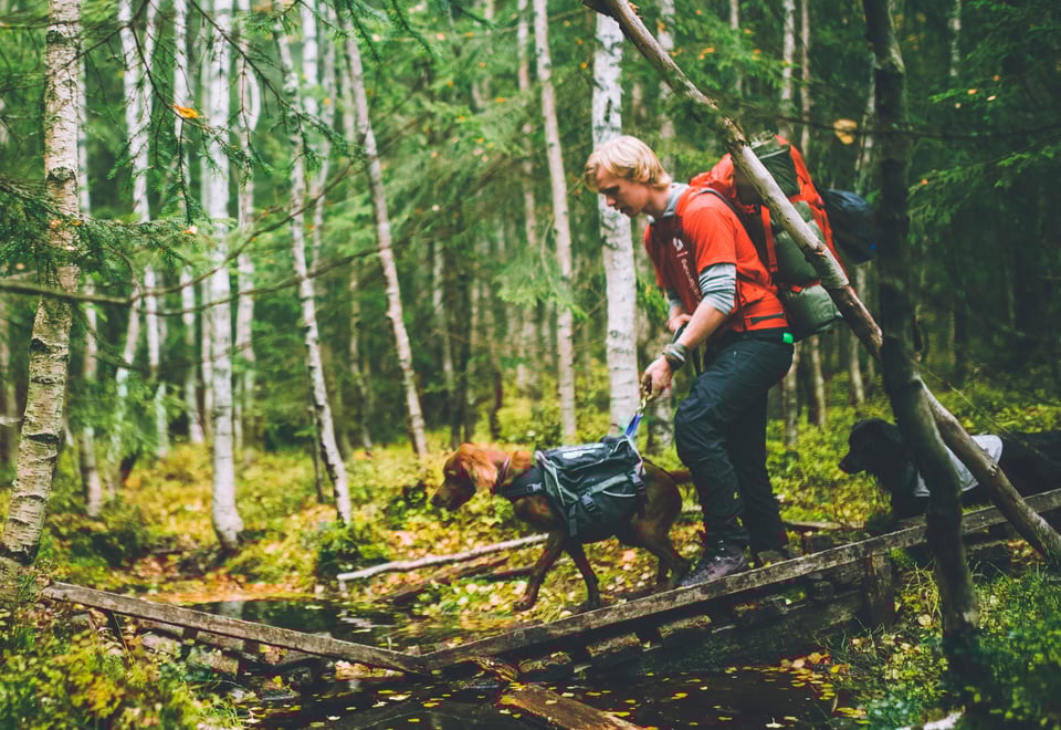 Høstferie gjennom tåken i Oslomarka i 2018.