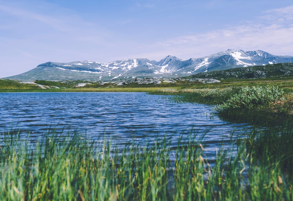 En innsjø, med vanngress i forgrunnen, og fjell i bakgrunnen