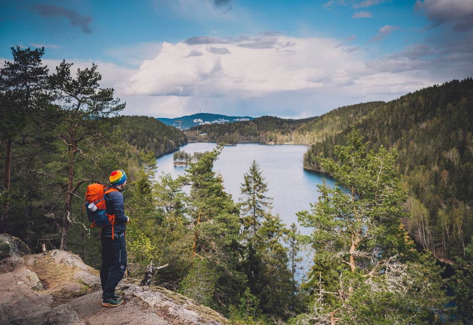 Mann ser utover skogsvann